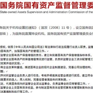 国家政府部门监督要求