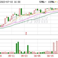 淮北绿金公司上市