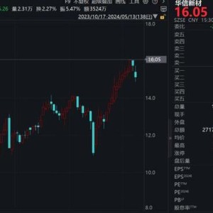 首家市值不足亿元公司面临强制退市市场风险与监管挑战