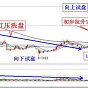 因购股权获行使高伟电子发行万股