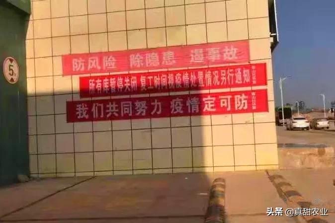 运输署：因应单车节封路已全部解封 运输服务回复正常