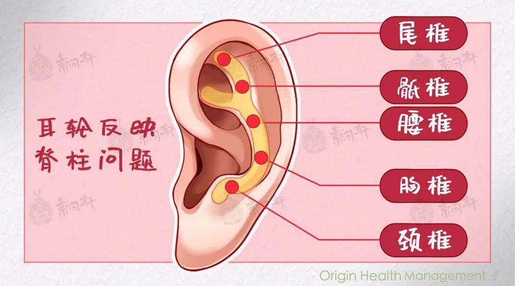 九龙医院胸肺内科病房再有两名男病人带有耳念珠菌