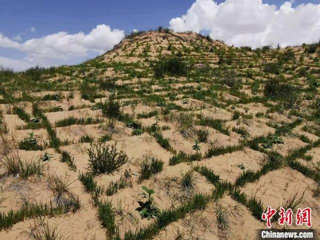 我国沙化土地治理呈良好态势 科学治沙成效显著