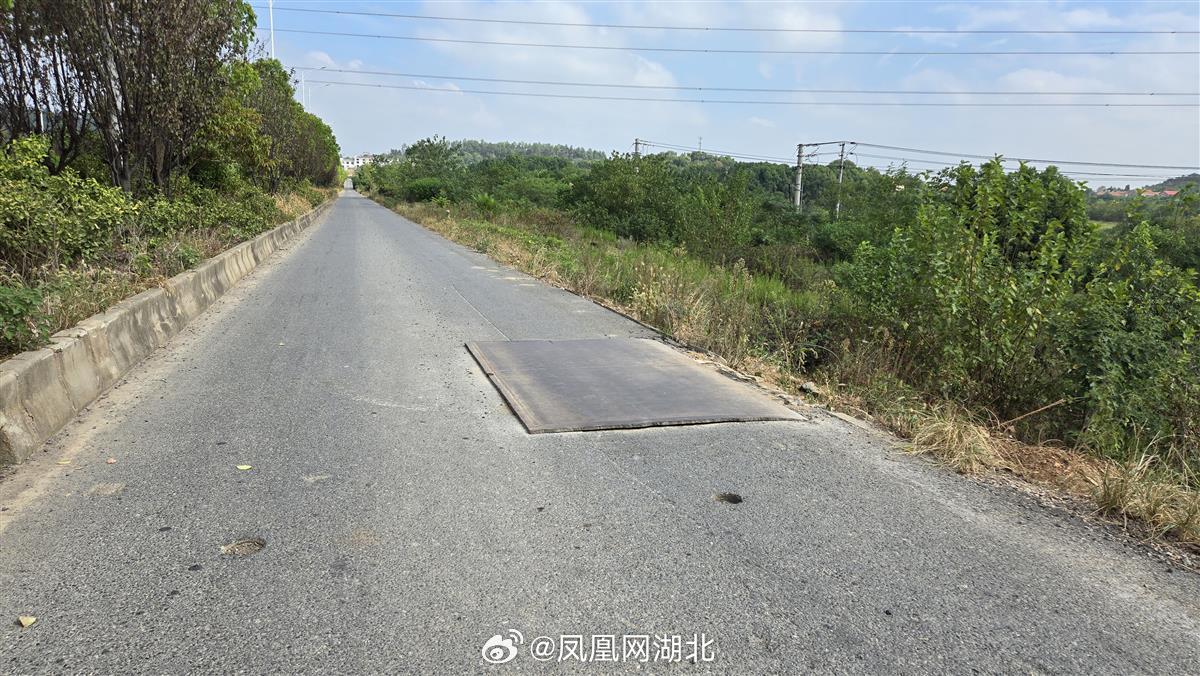 一网红路被村民用排泄物堵路 实为车辆故障所致