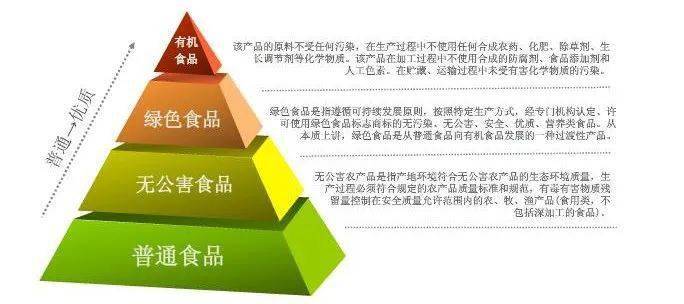 打造严谨、系统、先进的食品标准体系