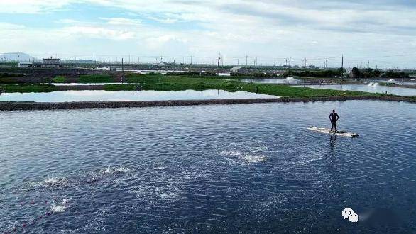 从追“量”到逐“质”，水产养殖拐点已现