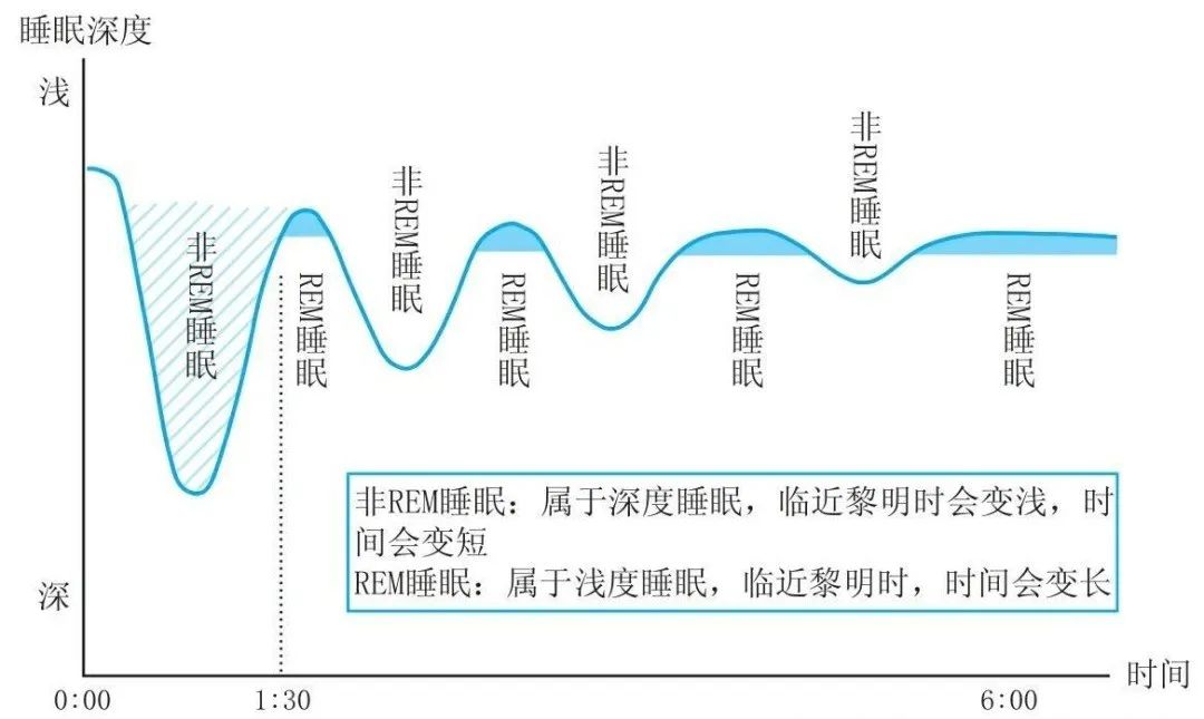 “碎片化睡眠”比熬夜更可怕 影响深睡眠质量