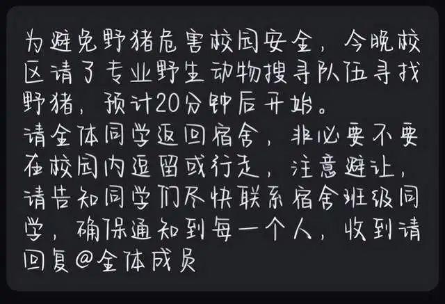 学校回应出现野猪：已逼到湖里游走，加强巡逻防范