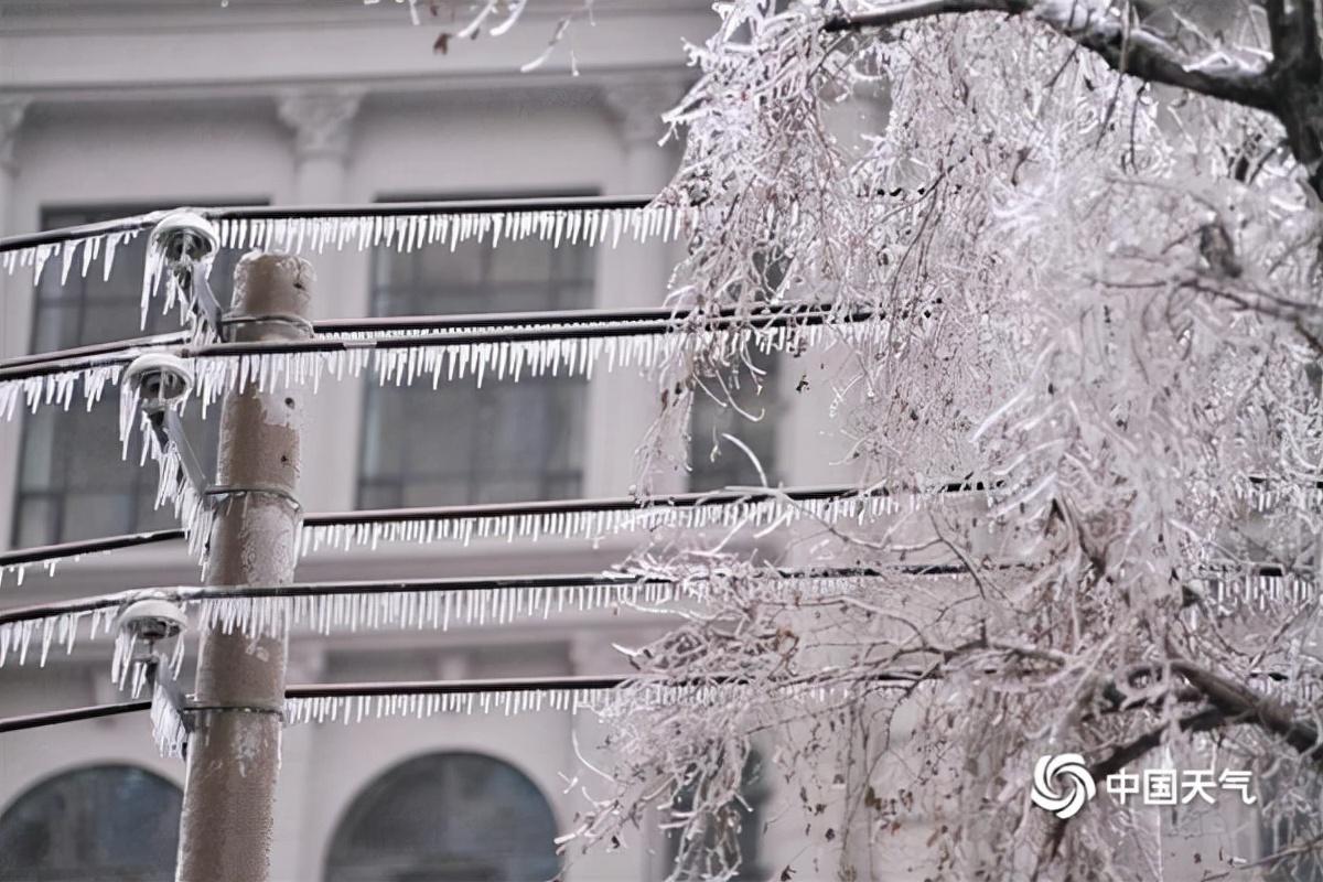 未来十天冷空气活动频繁 东北内蒙古迎强降雪