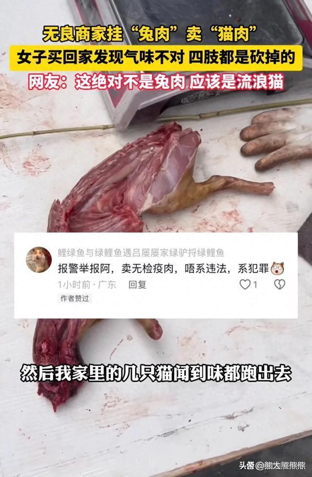 女子买兔肉回家发现商家以猫肉冒充