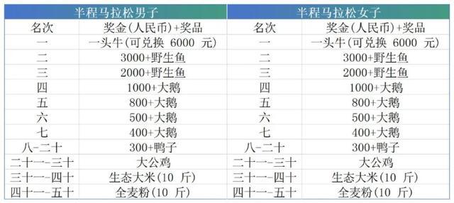 马拉松比赛冠军奖励一头牛 独特奖品引热议