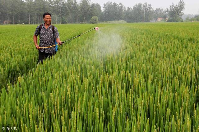 新型控释纳米农药防治害虫更安全有效