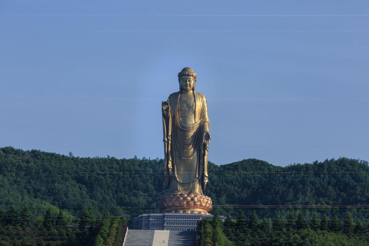 盛世莲花别样红 廿五载华章璀璨