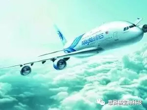 马航MH370失联10年 为何重启搜寻？新线索带来希望