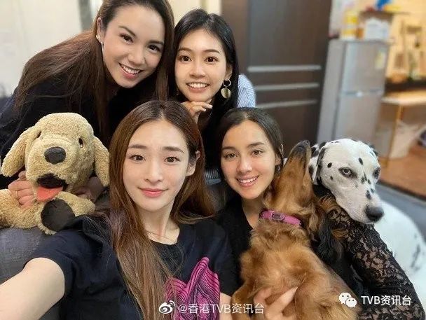 两爱犬中毒惨死 另一生还爱犬也呈中毒徵状 港姐谢嘉怡：恶梦好像仍未完结