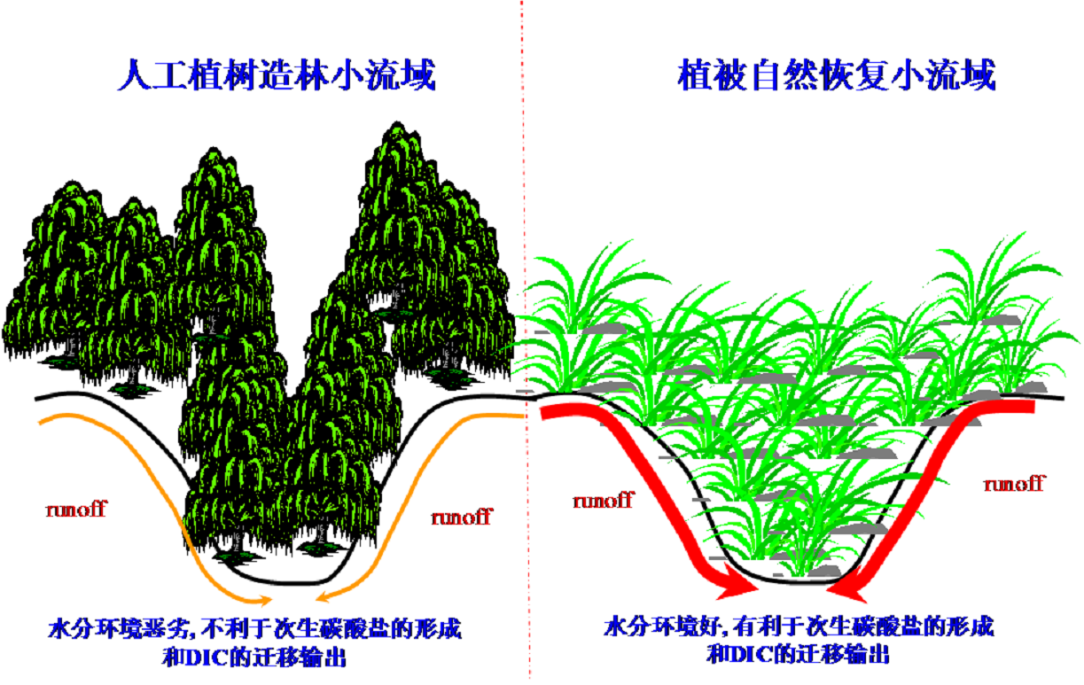 要求主干道两侧杂草留茬在10厘米左右 形式主义整治案例