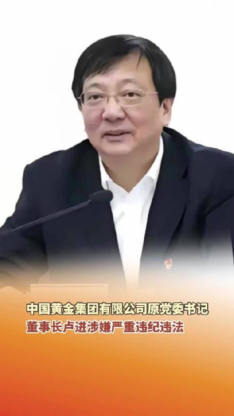 中国黄金集团黄金珠宝原董事长被查 涉嫌严重违纪违法