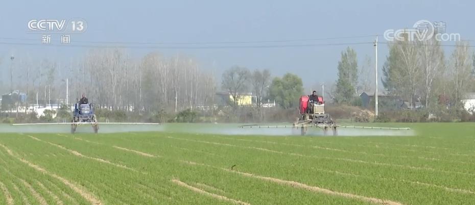 主产区紧抓农业生产冬管关键期 夯实来年粮食丰收基础