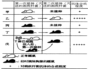 美确认H5N1型禽流感基因突变 病毒更易感染人类