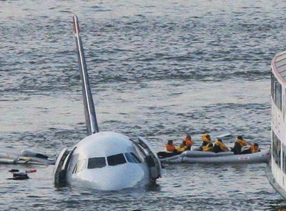 全球每年飞鸟撞机超2万起 航空安全重大隐患