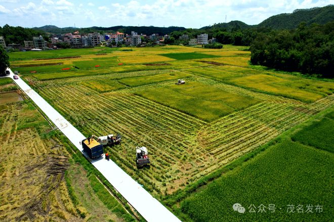 湖北来凤：“循环农业”助力村民致富