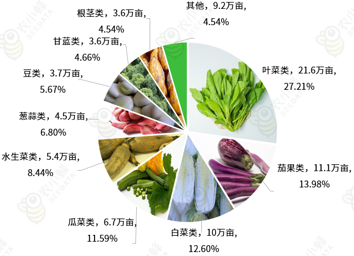 全国在田蔬菜面积8300多万亩