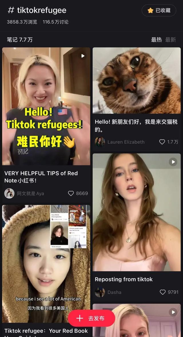 “对账”、交“猫税”、学普通话⋯⋯“TikTok难民”转战小红书疯狂72小时