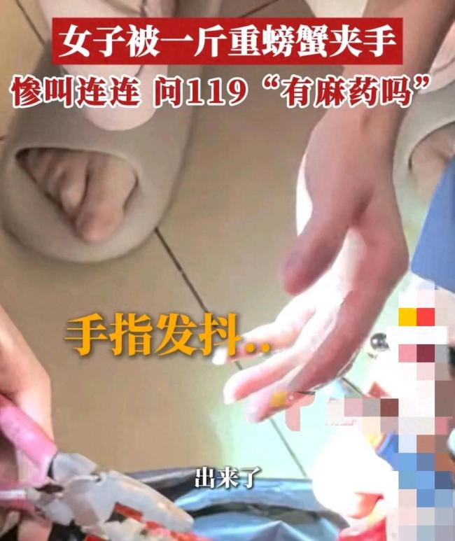 女子被螃蟹夹手 消防化身拆蟹专家