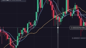 敏实集团股票下跌，探究背后的原因与未来展望