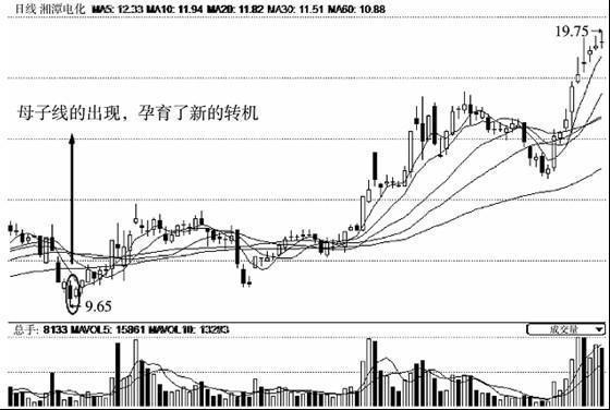 湘潭电化股票行情深度解析