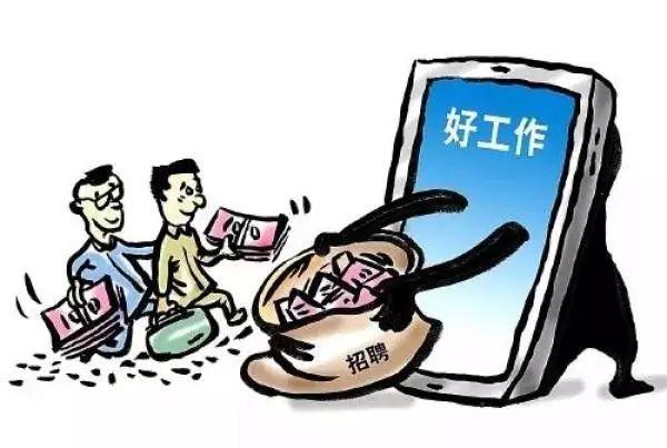 股票分红可以不买吗？深度解析股票分红与投资策略