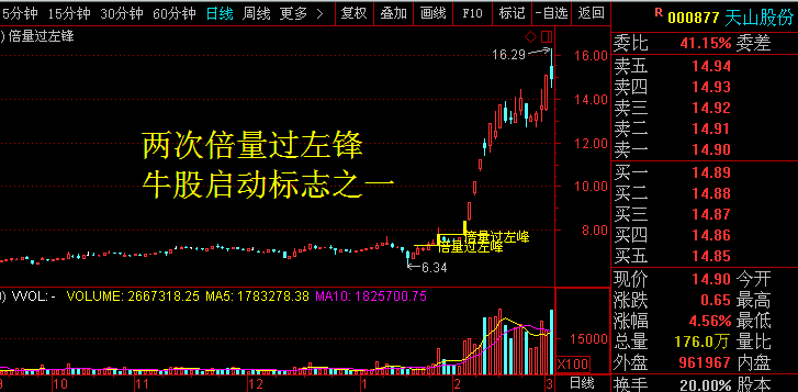 探究股票代码831150背后的企业潜力与挑战