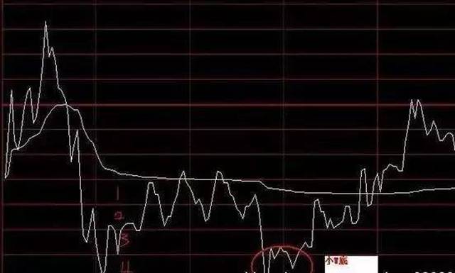 郑天浩视角下的股票市场深度解析