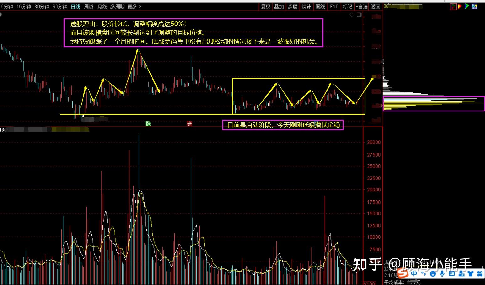 电信股票龙头，引领行业发展的力量源泉