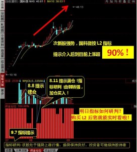 股票复权后的操作策略，掌握关键步骤，实现投资最大化