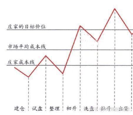 没有庄家的股票，市场的新趋势与挑战