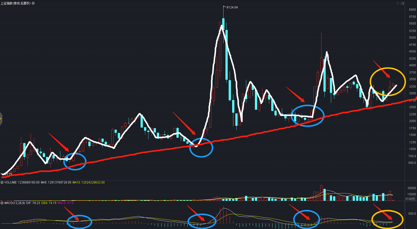 退市大控股票趋势，深度分析与展望