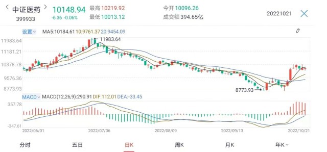 股票300002，深度解析与市场前景展望