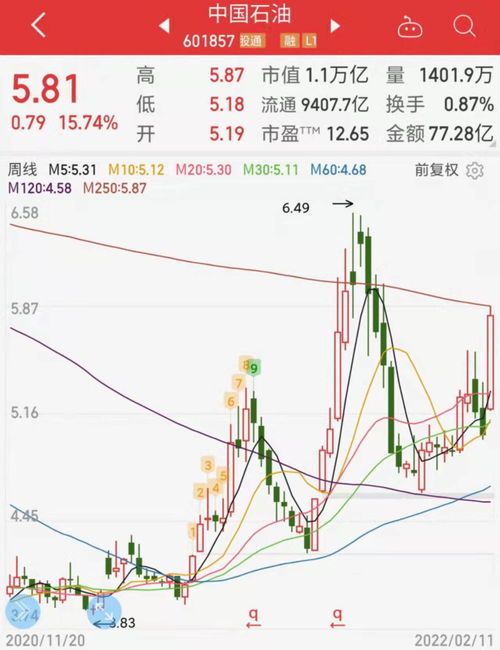 石油股票连续调整股价，市场波动下的投资考量