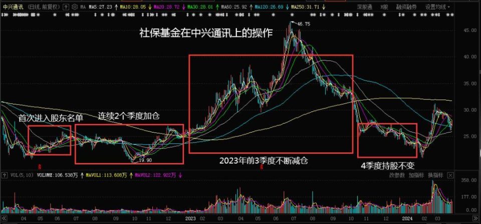 股票新L1，探索与解析