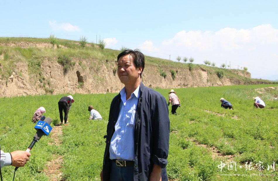 板蓝根股票分红，企业回馈股东的重要里程碑