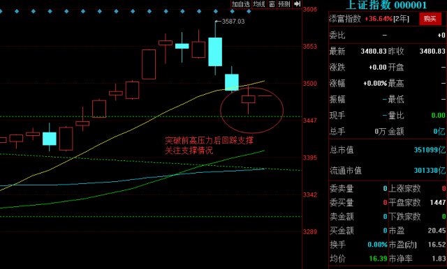 新农股份股票行情深度解析