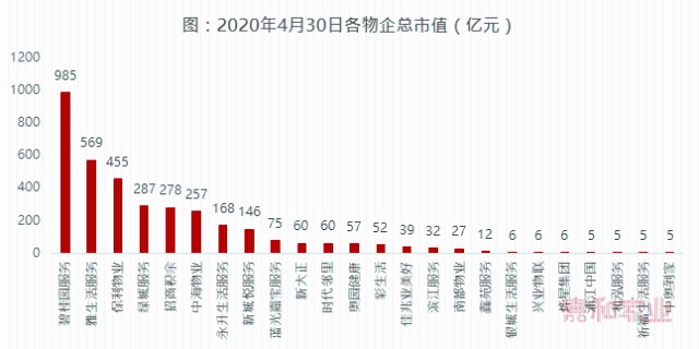 股票停牌之前，深度解读其背后因素与投资者应对策略