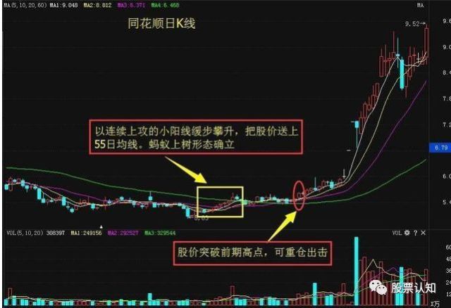 网上监控股票，一种全新的投资方式与策略分析