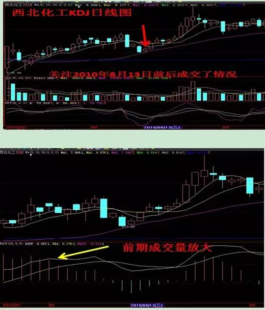 股票代码08181，探索一家独特企业的成长之路