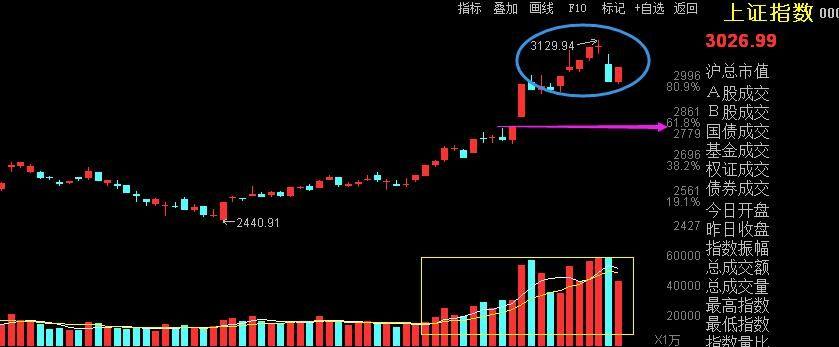 低价绩优股票视频，探索投资的智慧之源