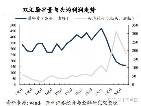 双汇股票持仓，深度解析与前景展望