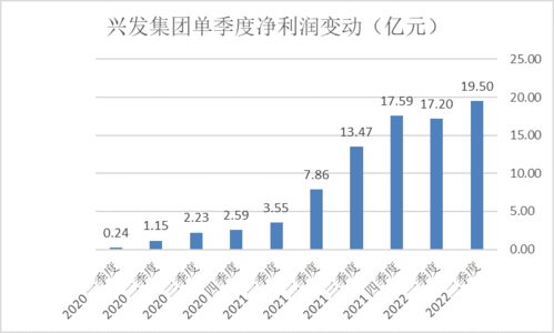 兴发集团股票千股千评，深度解析与前景展望