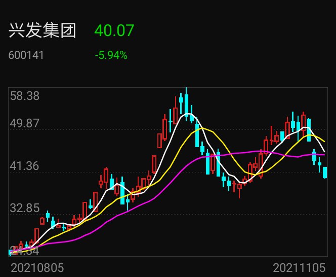 兴发集团股票千股千评，深度解析与前景展望