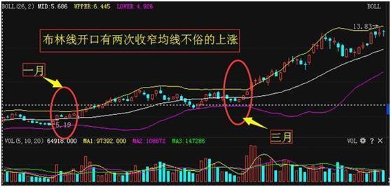 股票最重要的指标，深度解析与实战应用